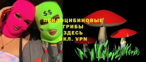 стаф Надым