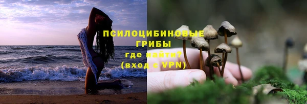 mdpv Нея