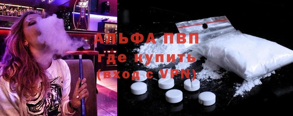 стаф Надым