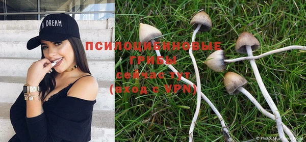 mdpv Нея